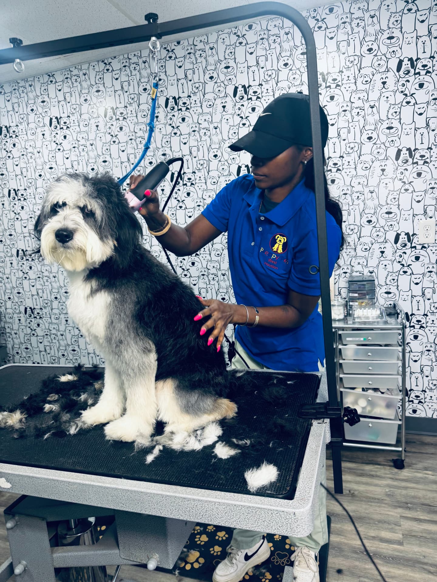A Preppy Pet West Houston groomer trimming a dog on the grooming table